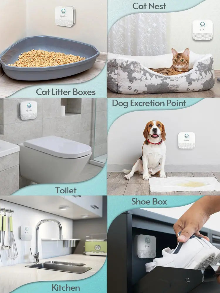 DownyPaws 4000mAh Smart Cat dog Odor Purifier For Cat Litter Box Deodorizer Pet Toilet Air Purifier Dog Cat Litter Deodorant - Supersell